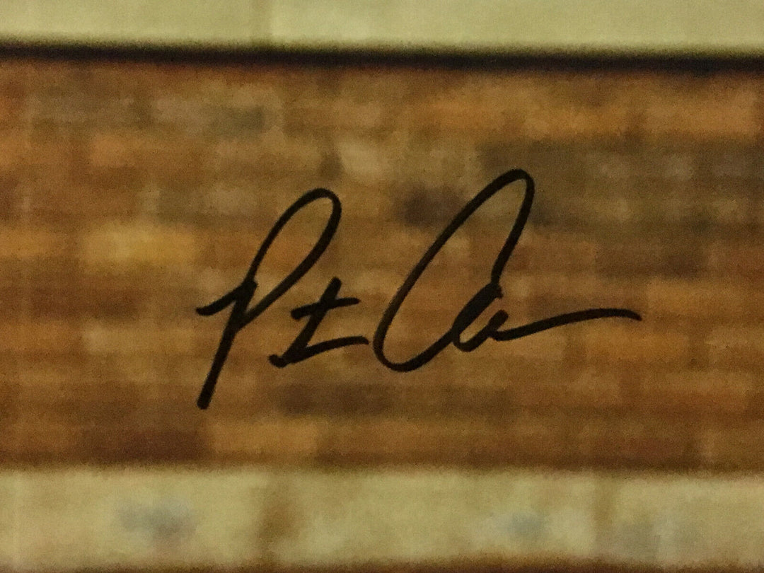Pete Alonso signed 16x20 53rd HR Photo Mets Mint Autograph MLB Holo Fanatics COA Image 2