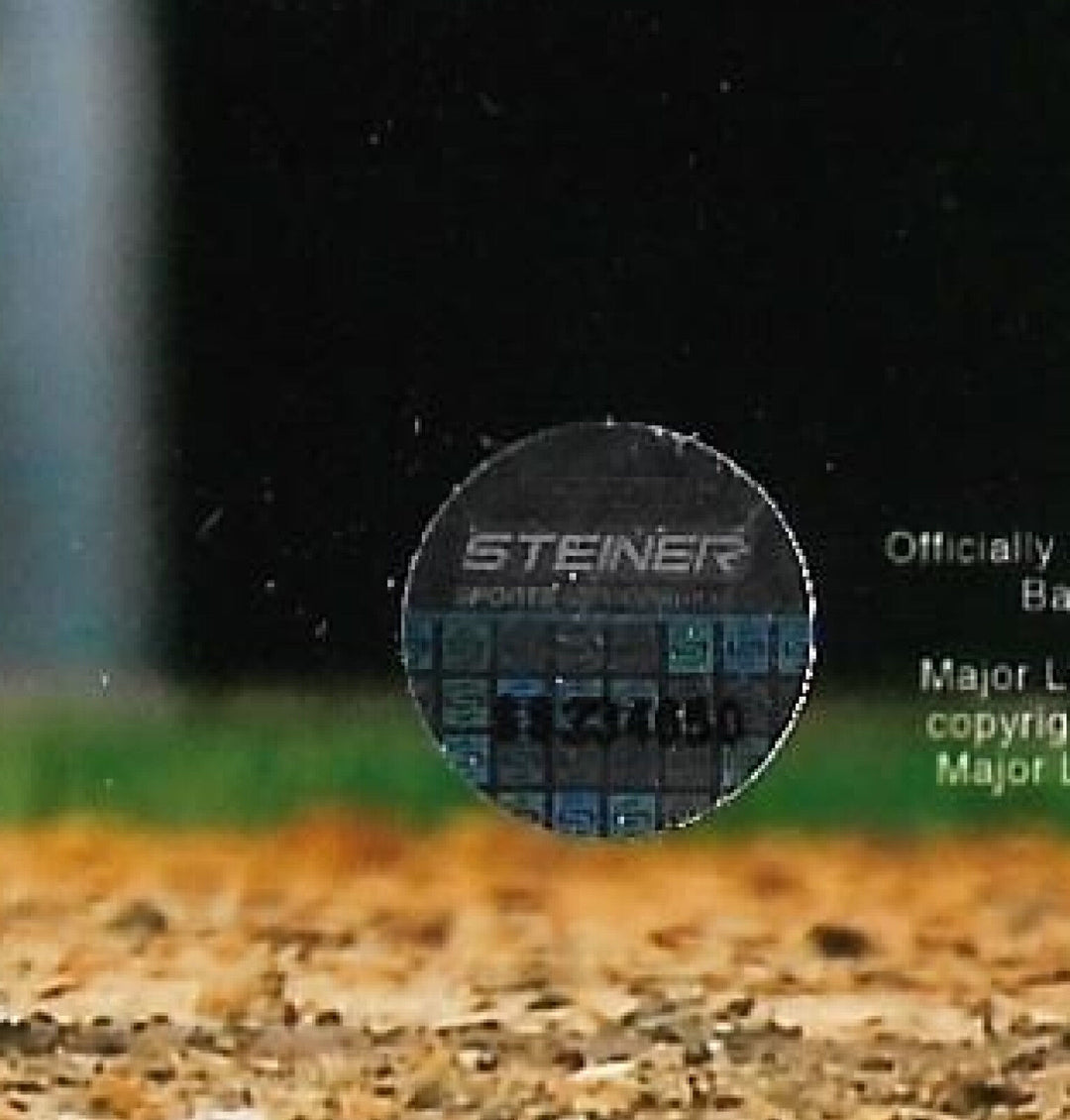 Greg Bird signed 8x10 1st HR photo framed Yankees coin autograph Steiner COA Image 3