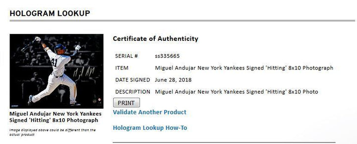 Miguel Andujar signed 8x10 spotlight photo Yankees rookie auto Steiner COA ROY ? Image 7