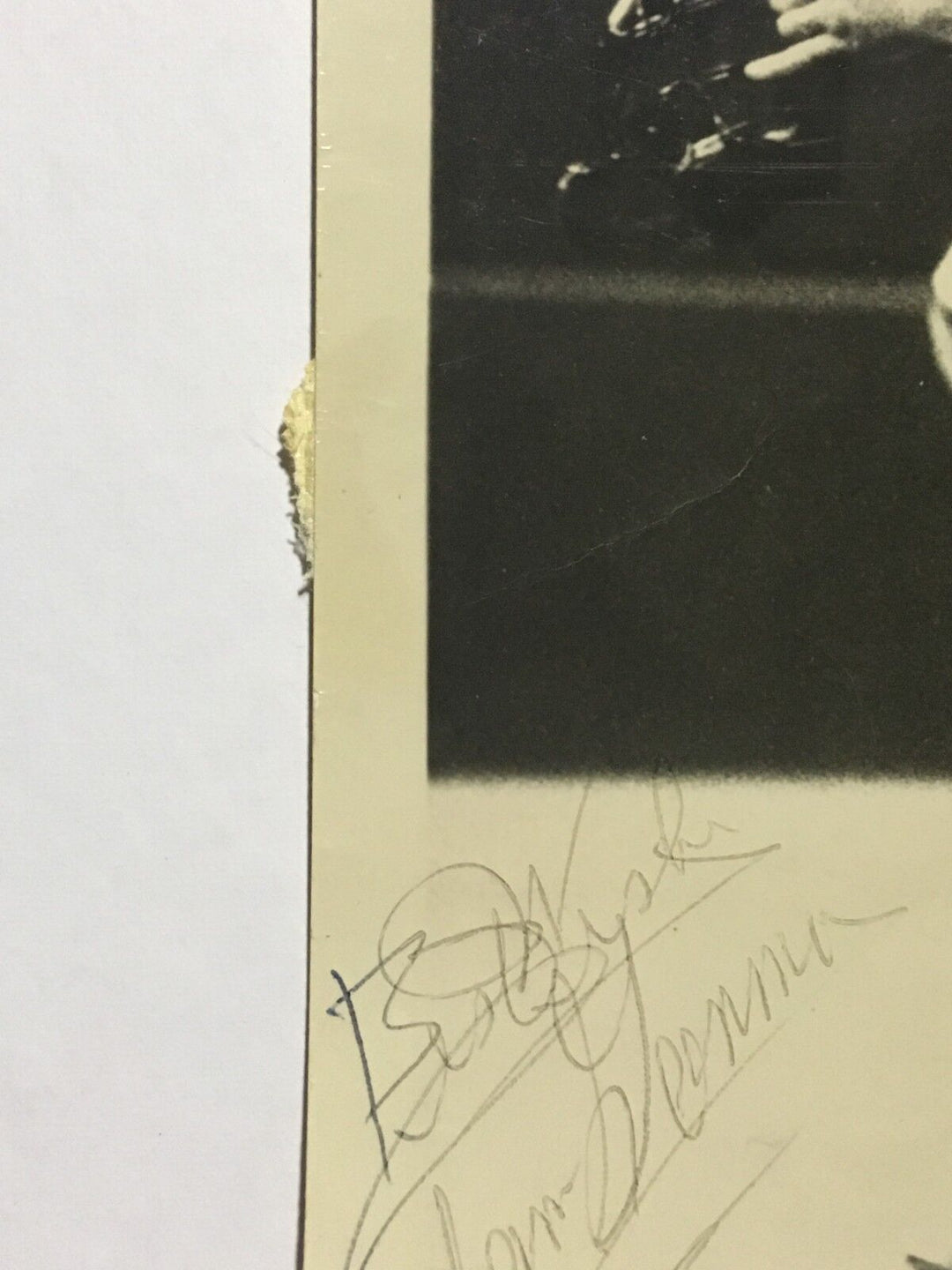 Yogi Berra Tom Gorman ejection dual signed 8x10 original wire photo SGC 1/1 Image 6