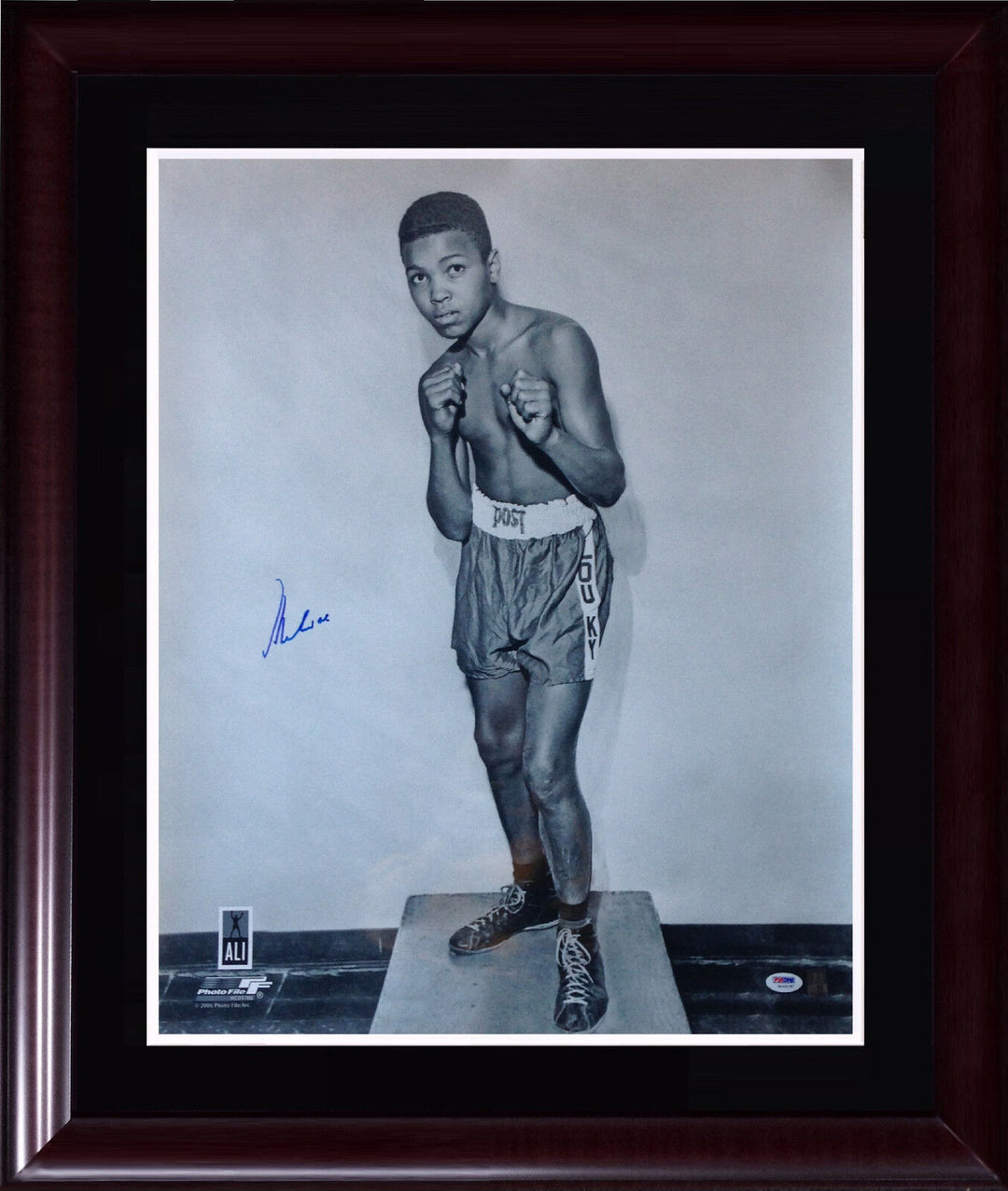Muhammad Ali Cassius Clay Signed 20x24 photo framed auto PSA /DNA Ali holo COA Image 1