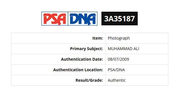 Muhammad Ali Cassius Clay Signed 20x24 photo framed auto PSA /DNA Ali holo COA Image 4