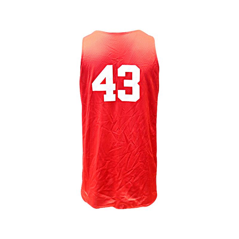 Breanna Stewart USA Basketball Used #43 Practice Reversble Jersey (Size XL)
