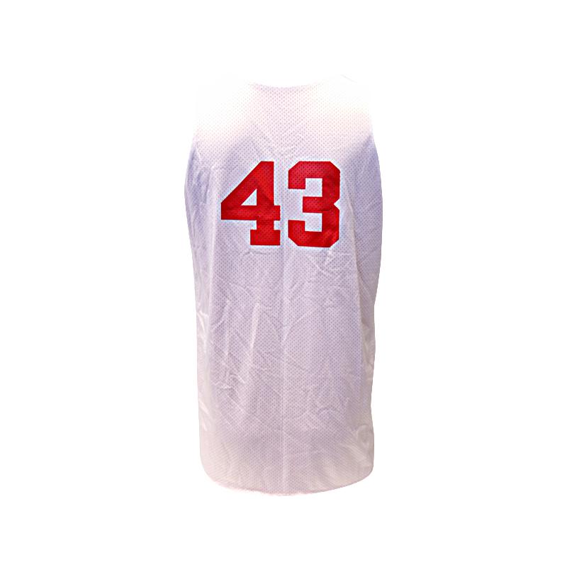 Breanna Stewart USA Basketball Used #43 Practice Reversble Jersey (Size XL)