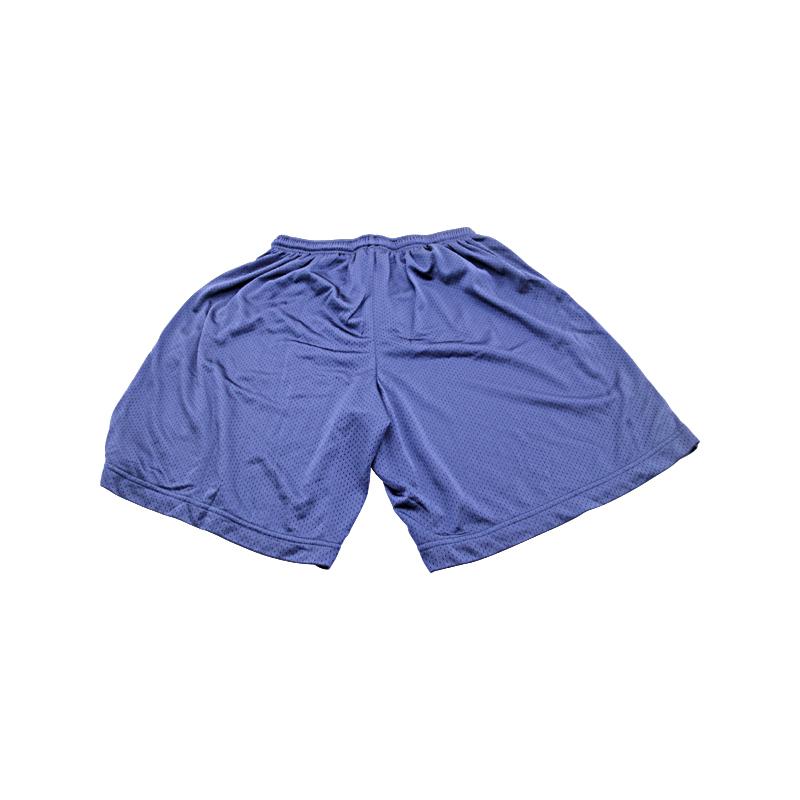 Breanna Stewart USA Basketball Blue Mesh Shorts (Size XL)