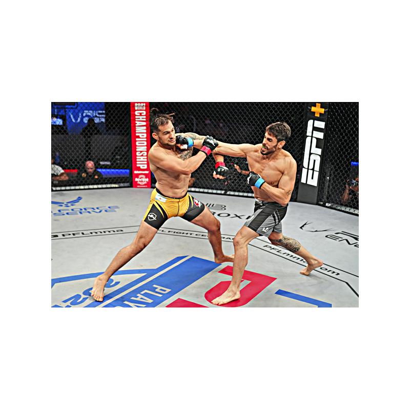 Antonio Carlos Jr. Fighting vs Emiliano Sordi in PFL 9 2021